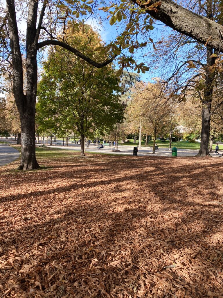 Autumn in Geneva